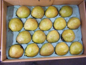20091121 -���T�̔����ł�-_21