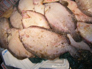 20091121 -���T�̔����ł�-_38