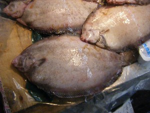 20091121 -���T�̔����ł�-_53