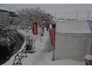 20091121 -�咆�ÃX�L�[�s-_26