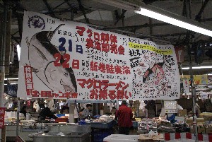 20091121 -�{�}�O���R�{�̂̉�̎���������-_3