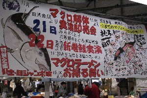 20091121 -�{�}�O���R�{�̂̉�̎���������-_4