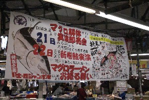 20091121 -�{�}�O���R�{�̂̉�̎���������-_6