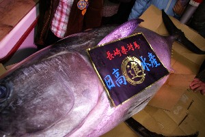 20091121 -�{�}�O���R�{�̂̉�̎���������-_11