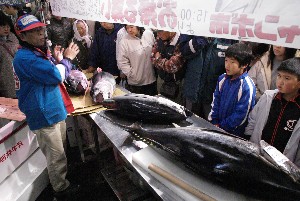 20091121 -�{�}�O���R�{�̂̉�̎���������-_14