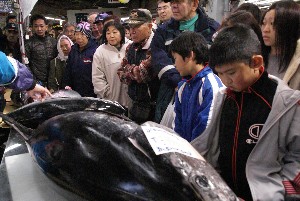 20091121 -�{�}�O���R�{�̂̉�̎���������-_16