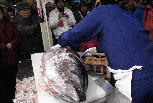 20091121 -�{�}�O���R�{�̂̉�̎���������-_23