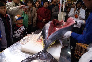 20091121 -�{�}�O���R�{�̂̉�̎���������-_38