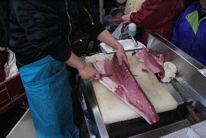 20091121 -�{�}�O���R�{�̂̉�̎���������-_41