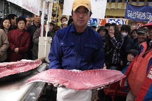 20091121 -�{�}�O���R�{�̂̉�̎���������-_44
