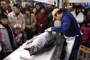 20091121 -�{�}�O���R�{�̂̉�̎���������-_46