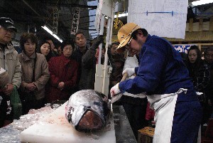 20091121 -�{�}�O���R�{�̂̉�̎���������-_48