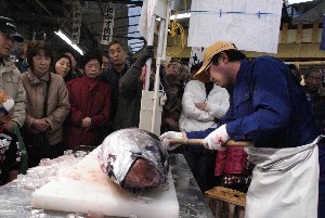 20091121 -�{�}�O���R�{�̂̉�̎���������-_49