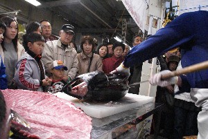 20091121 -�{�}�O���R�{�̂̉�̎���������-_50