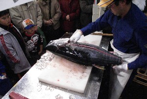 20091121 -�{�}�O���R�{�̂̉�̎���������-_53