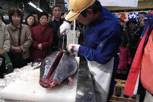 20091121 -�{�}�O���R�{�̂̉�̎���������-_54