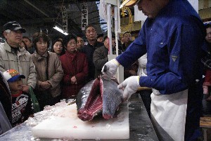20091121 -�{�}�O���R�{�̂̉�̎���������-_55