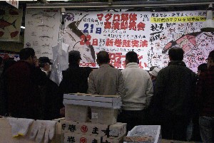 20091121 -�{�}�O���R�{�̂̉�̎���������-_64
