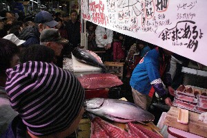 20091121 -�{�}�O���R�{�̂̉�̎���������-_65