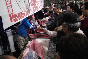20091121 -�{�}�O���R�{�̂̉�̎���������-_66