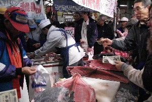 20091121 -�{�}�O���R�{�̂̉�̎���������-_68
