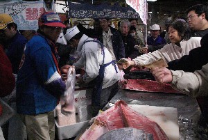 20091121 -�{�}�O���R�{�̂̉�̎���������-_70