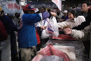 20091121 -�{�}�O���R�{�̂̉�̎���������-_71