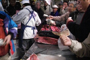 20091121 -�{�}�O���R�{�̂̉�̎���������-_72