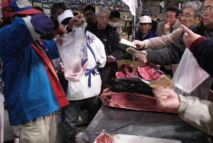20091121 -�{�}�O���R�{�̂̉�̎���������-_73