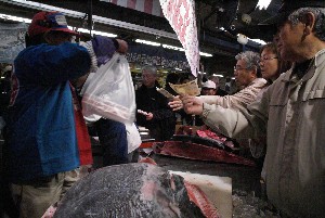 20091121 -�{�}�O���R�{�̂̉�̎���������-_76