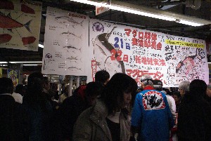 20091121 -�{�}�O���R�{�̂̉�̎���������-_1