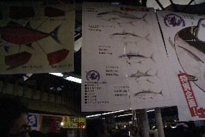 20091121 -�{�}�O���R�{�̂̉�̎���������-_2