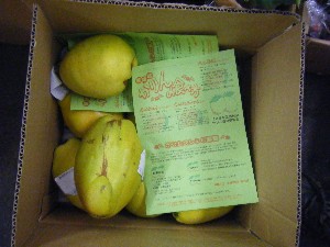 20091128 -���T�̔����ł�-_34