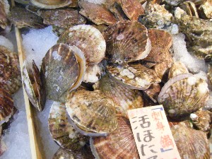 20091128 -���T�̔����ł�-_48