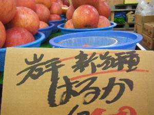 20091205 -���T�̔����ł�-_19