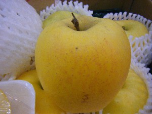 20091205 -���T�̔����ł�-_20