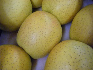 20091205 -���T�̔����ł�-_26