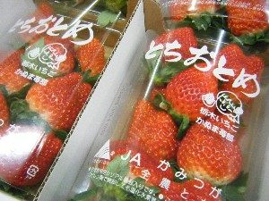 20091205 -���T�̔����ł�-_29