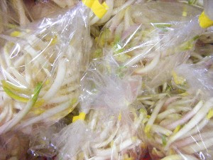 20091205 -���T�̔����ł�-_39
