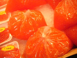 20091205 -���T�̔����ł�-_44