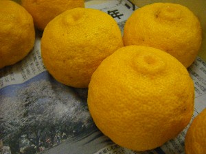 20091212 -���T�̔����ł�-_11