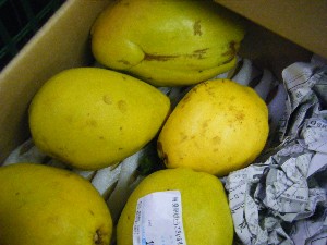 20091212 -���T�̔����ł�-_25