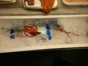 20091212 -���T�̔����ł�-_52