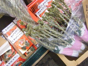 20091219 -���T�̔����ł�-_26