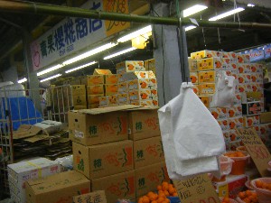 20091226 -���T�̔����ł�-_9