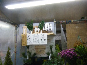 20091226 -���T�̔����ł�-_15