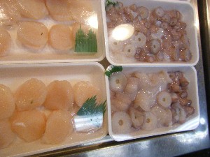 20091226 -���T�̔����ł�-_27