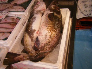 20091226 -���T�̔����ł�-_31