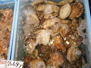 20091226 -���T�̔����ł�-_33