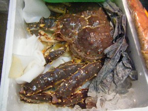 20091226 -���T�̔����ł�-_43